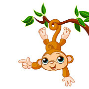 Tapeta detská - Opička 5114 - samolepiaca